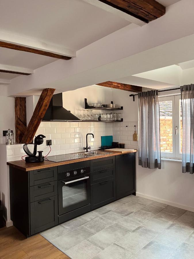 Grich Witch Apartment Zagabria Esterno foto
