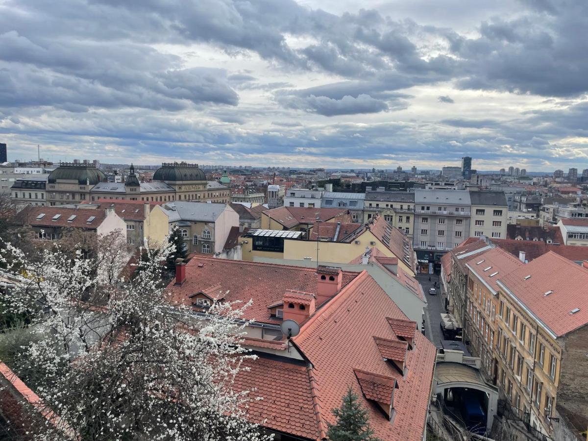 Grich Witch Apartment Zagabria Esterno foto